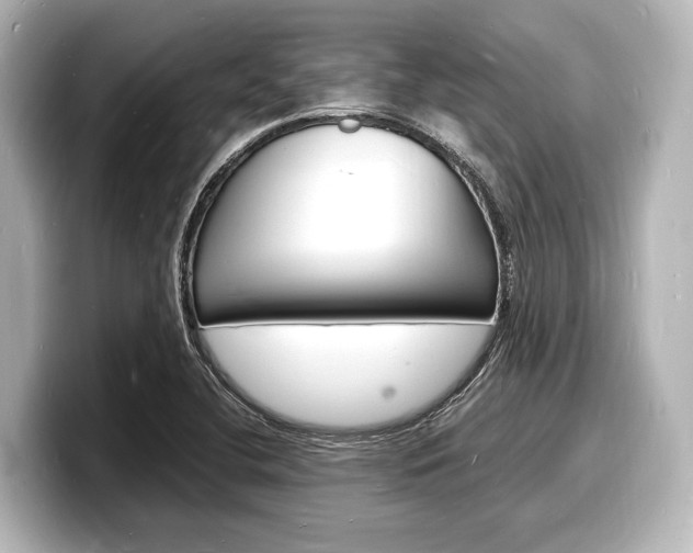 X0000098181412200804241021
