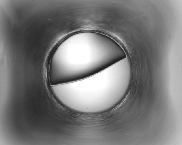 X0000098181414200804241021