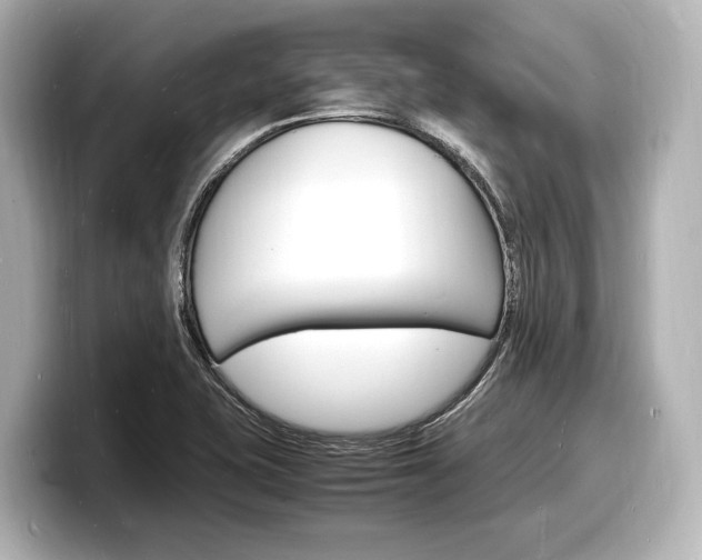 X0000098181415200804241021