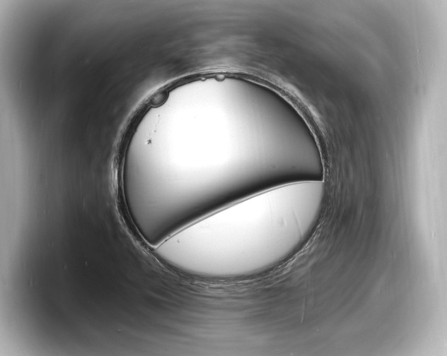 X0000098181416200804241021