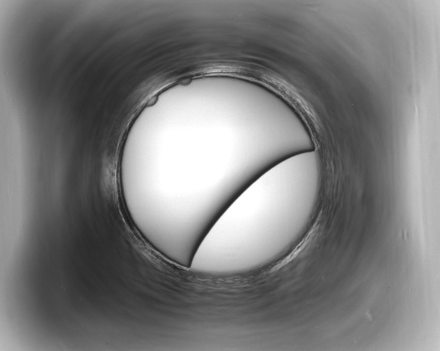 X0000098181417200804241021