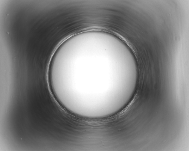 X0000098181418200804241021