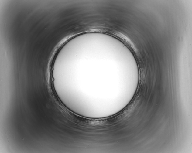 X0000098181419200804241021