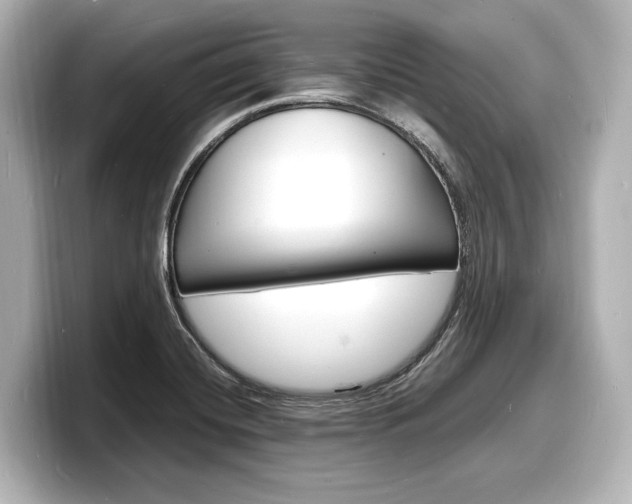 X0000098181420200804241021