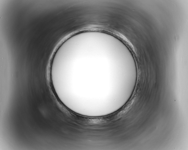 X0000098181421200804241021