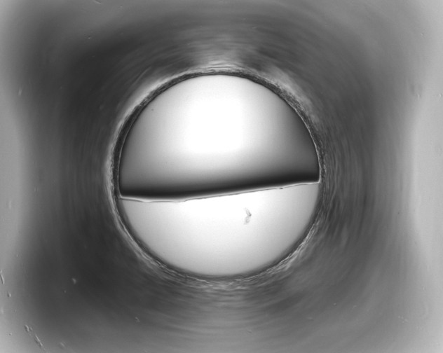 X0000098181422200804241021