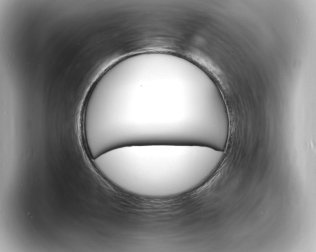 X0000098181423200804241021