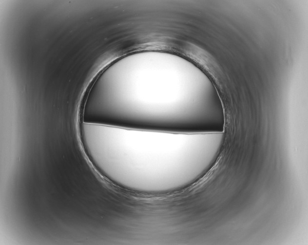 X0000098181426200804241021