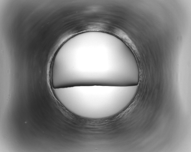 X0000098181427200804241021