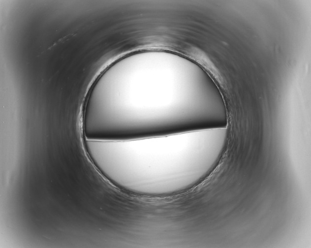 X0000098181428200804241021