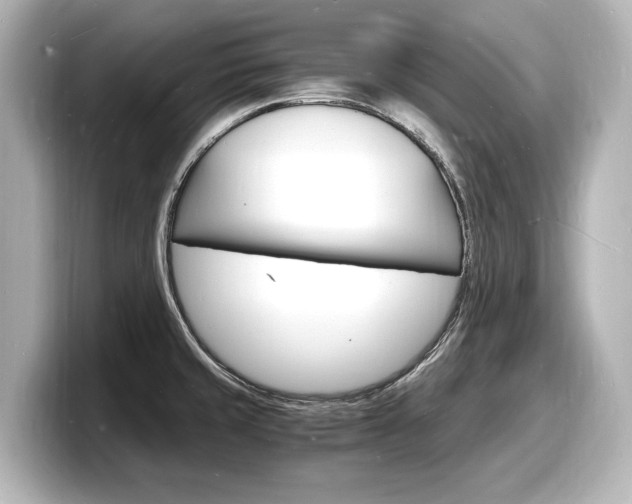 X0000098181429200804241021
