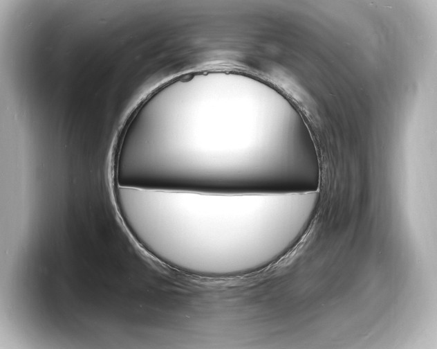 X0000098181430200804241021