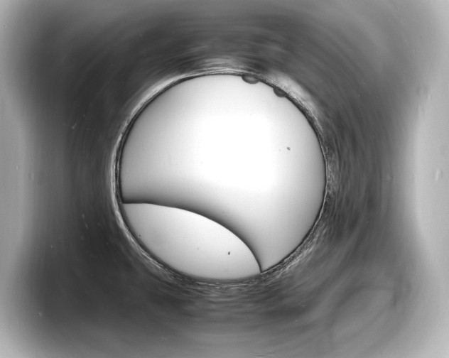 X0000098181431200804241021