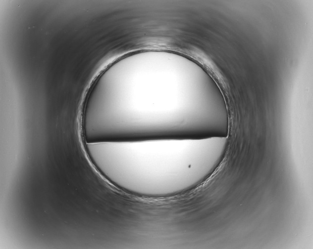 X0000098181432200804241021