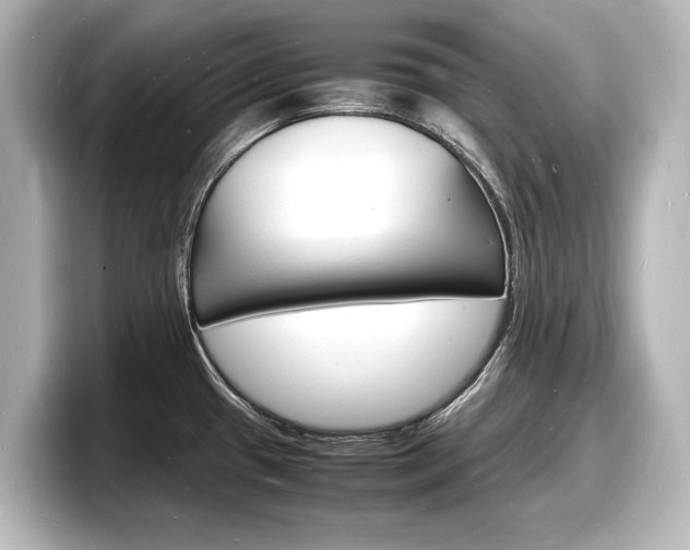 X0000098181433200804241021