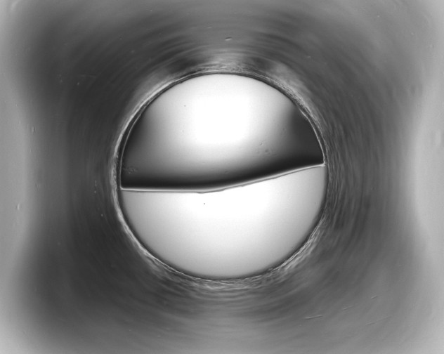 X0000098181434200804241021