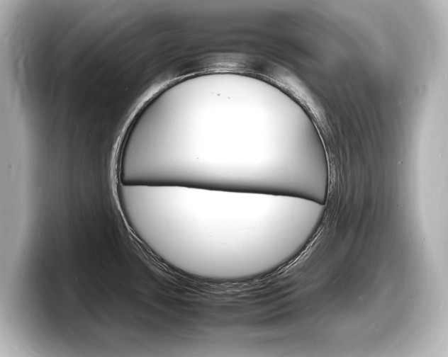 X0000098181435200804241021