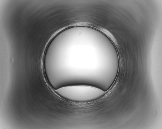 X0000098181436200804241021