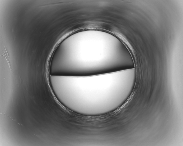X0000098181437200804241021