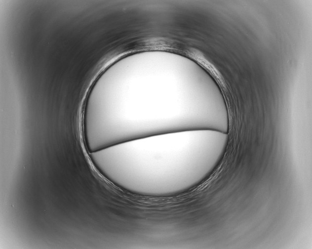 X0000098181439200804241021