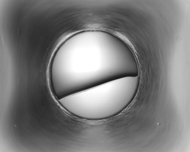 X0000098181440200804241021