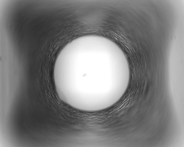 X0000098181441200804241020