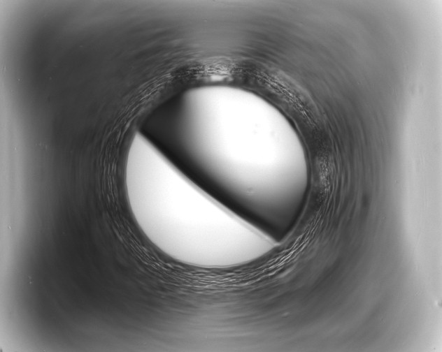 X0000098181442200804241020