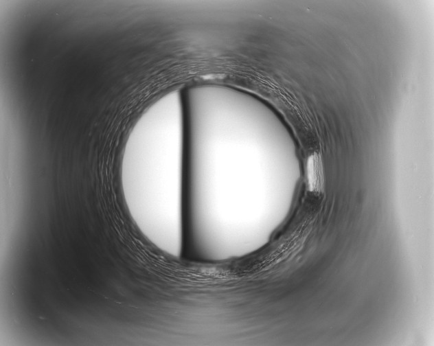 X0000098181443200804241020