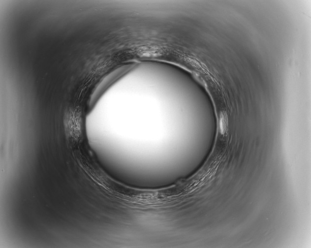 X0000098181444200804241020