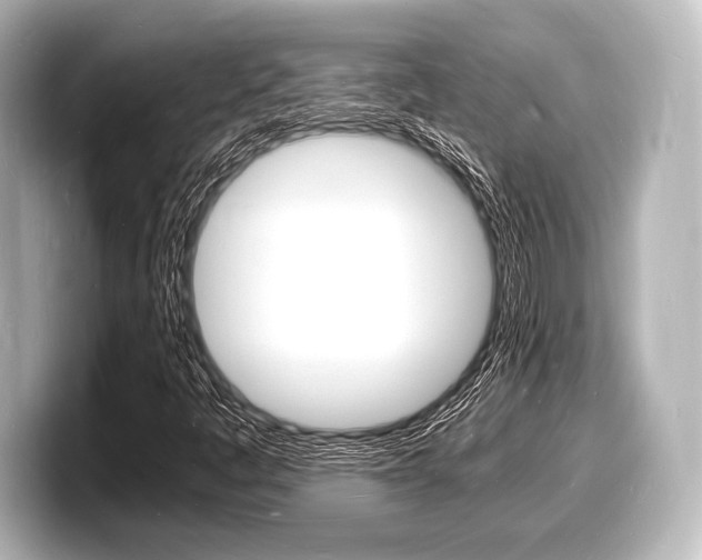 X0000098181445200804241020