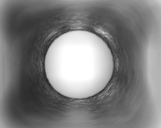 X0000098181446200804241020