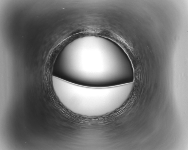 X0000098181448200804241020