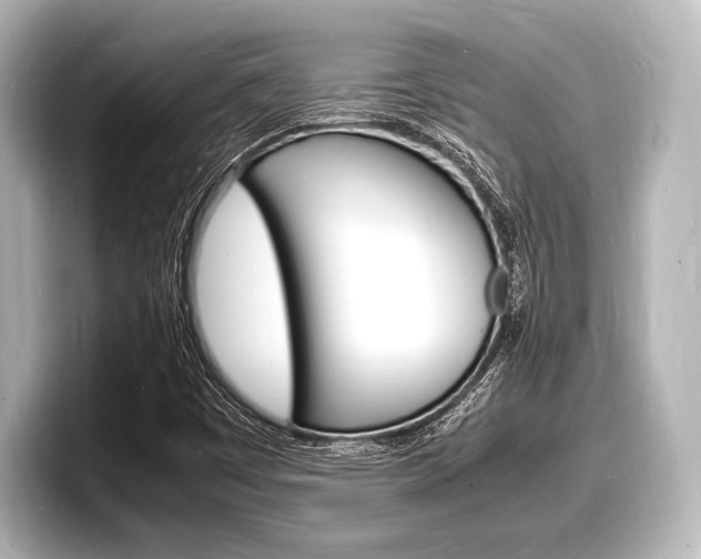 X0000098181449200804241020