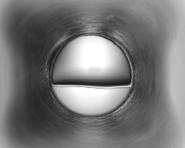 X0000098181450200804241020