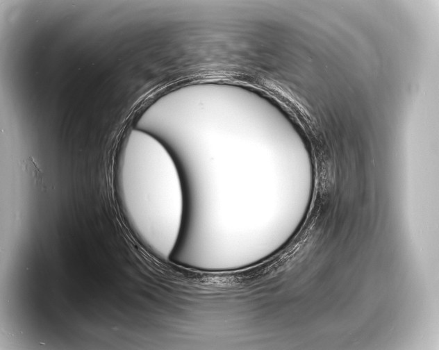 X0000098181451200804241020