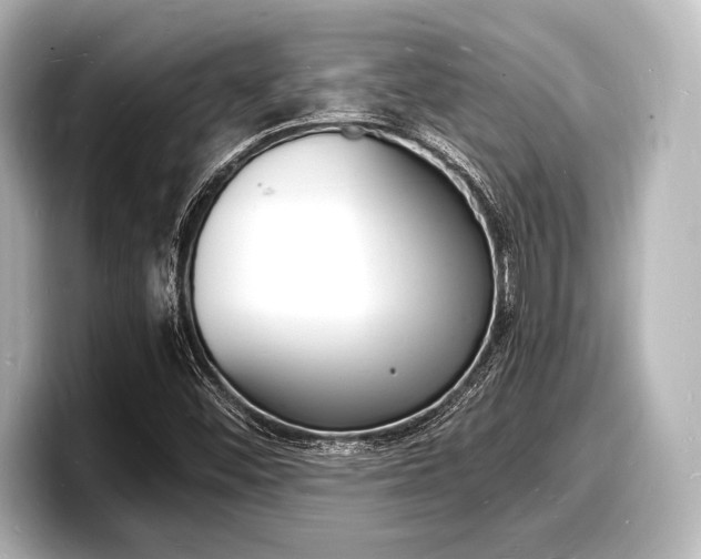 X0000098181452200804241020