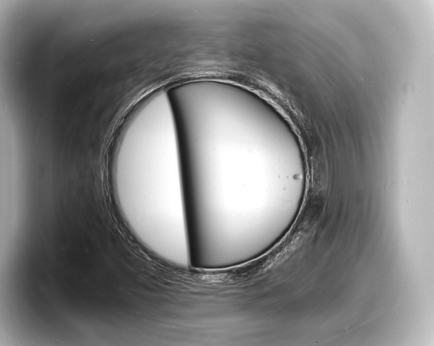 X0000098181453200804241020