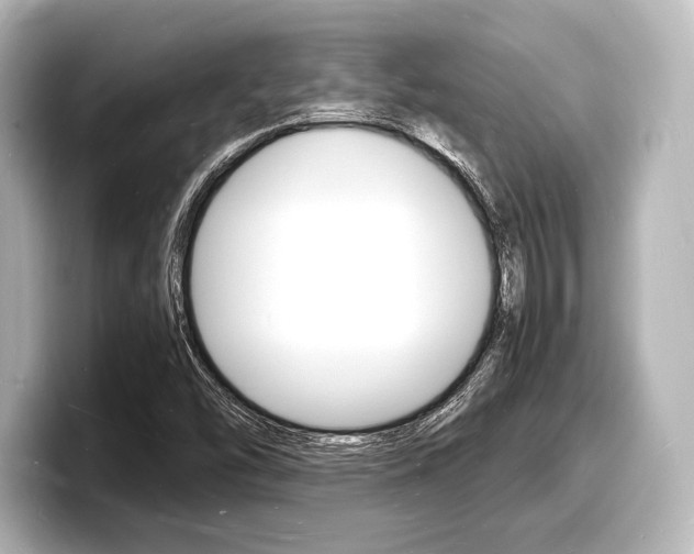 X0000098181454200804241020