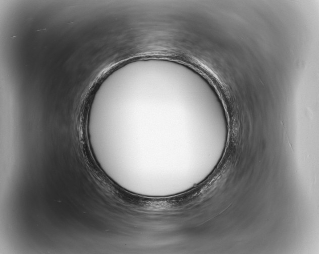 X0000098181455200804241020