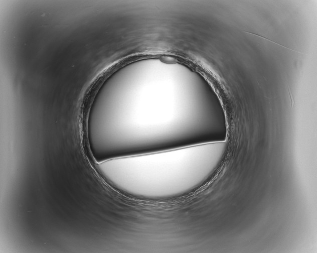 X0000098181456200804241020