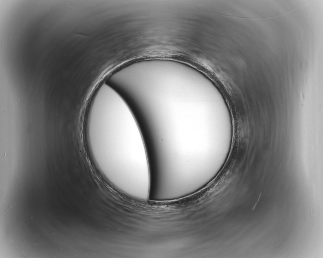 X0000098181459200804241020