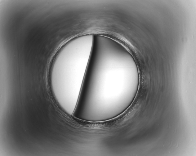 X0000098181461200804241020