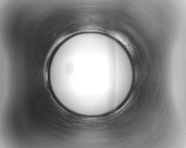X0000098181462200804241020