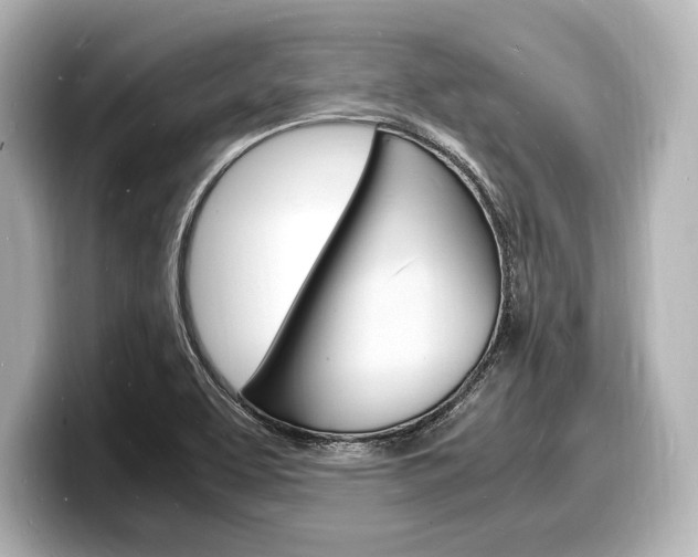 X0000098181463200804241020