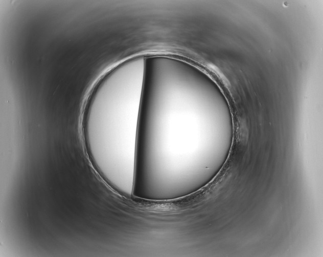 X0000098181464200804241020