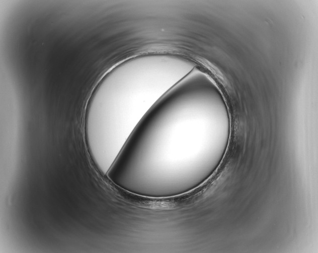 X0000098181465200804241020