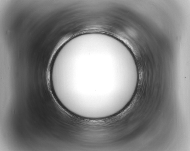 X0000098181466200804241020