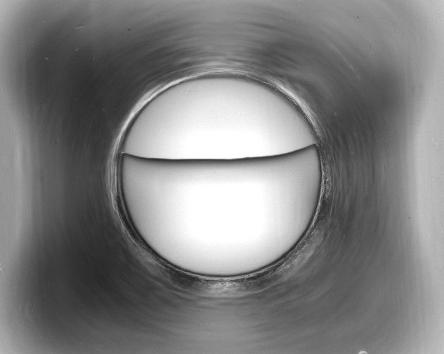 X0000098181467200804241020
