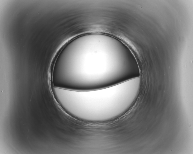 X0000098181468200804241020