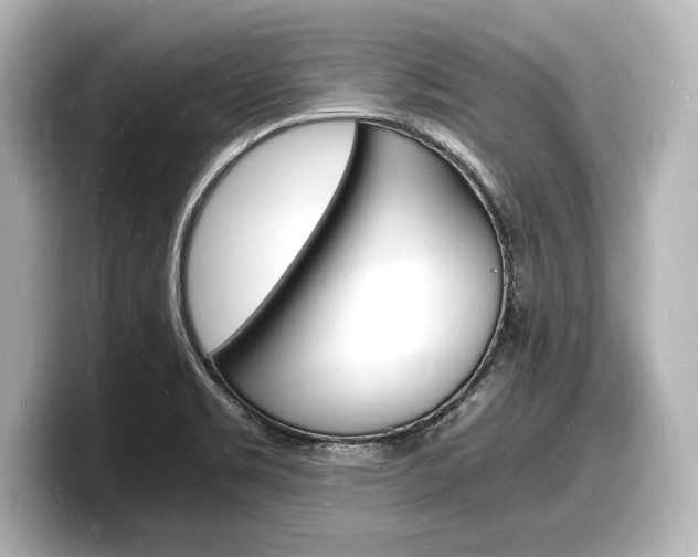 X0000098181469200804241020